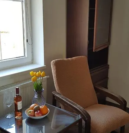 Penzin Cerny Mlyn Brezova (Sokolov)