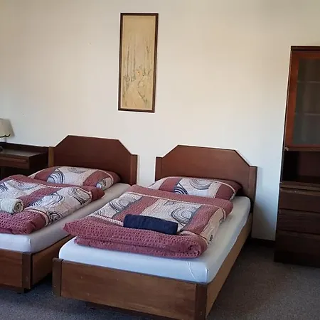Penzion Cerny Mlyn 住宿加早餐酒店 Brezova (Sokolov)