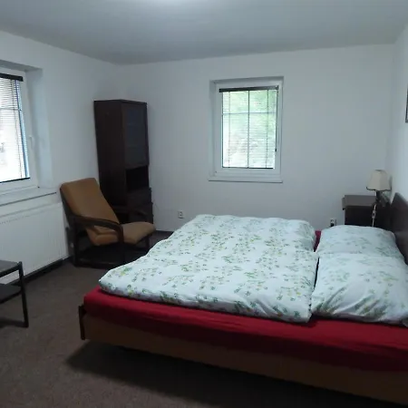 Bed & Breakfast Cerny Mlyn 3*