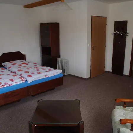 Cerny Mlyn Bed & Breakfast Brezova (Sokolov)