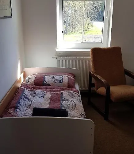 Bed and Breakfast Cerny Mlyn Brezova (Sokolov)